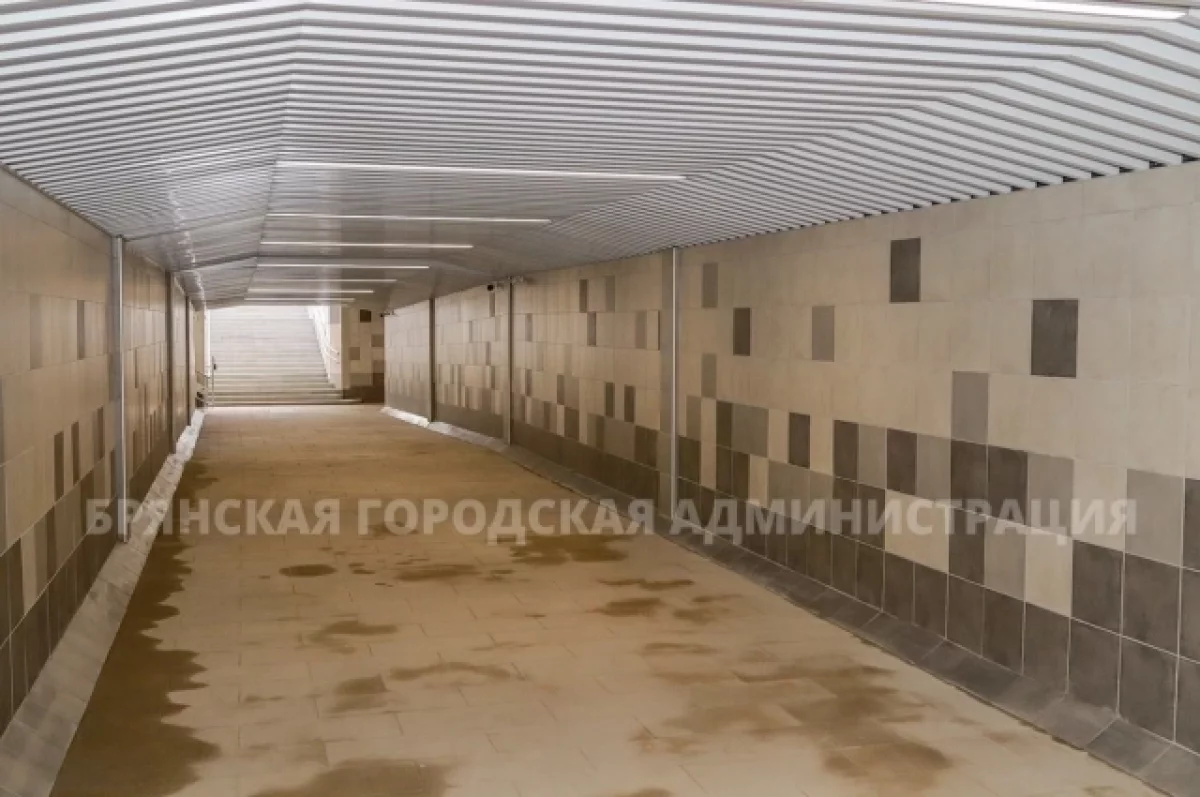 В Брянске завершён ремонт подземного перехода у сквера имени 50-летия ВЛКСМ